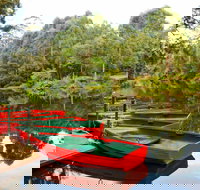 Lane Cove National Park - New Castle Holiday