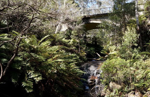 Leura Cascades - New Castle Holiday 2