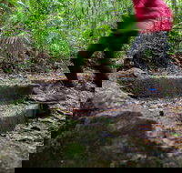 Maiala - New Castle Holiday