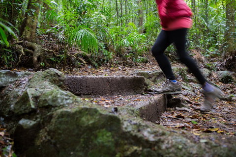 Maiala - New Castle Holiday 0