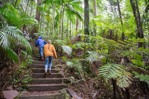 Maiala - New Castle Holiday 1