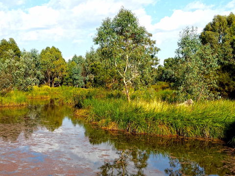 Mansfield Mullum Wetlands - New Castle Holiday 0