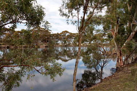 Merredin Railway Dam - New Castle Holiday 0