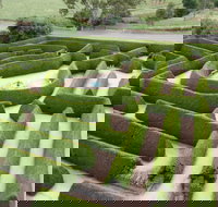 Mintaro Maze - New Castle Holiday