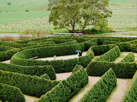 Mintaro Maze - New Castle Holiday 1