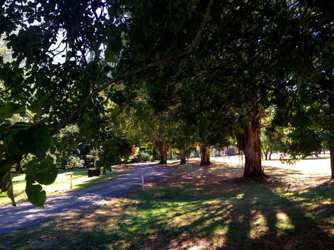 Mirimbah Park - New Castle Holiday 0