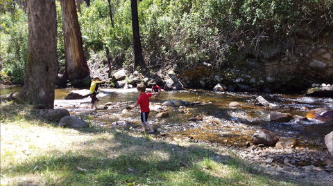 Mirimbah Park - New Castle Holiday 1