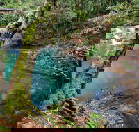 Mobong walking track - New Castle Holiday