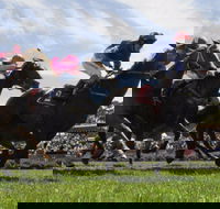 Moruya Racecourse - New Castle Holiday