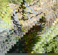 Morans Falls track Lamington National Park - New Castle Holiday