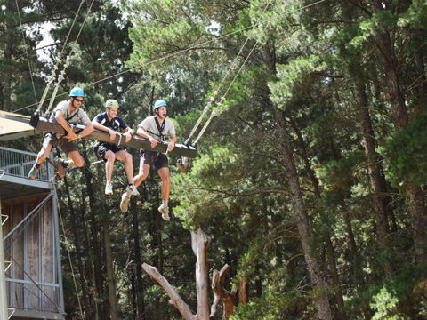 Mount Lofty Adventure Hub - New Castle Holiday 1