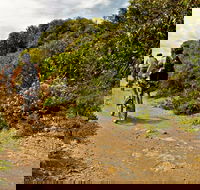 Mountain Biking Trails - New Castle Holiday
