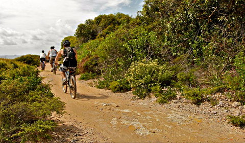 Mountain Biking Trails - New Castle Holiday 0