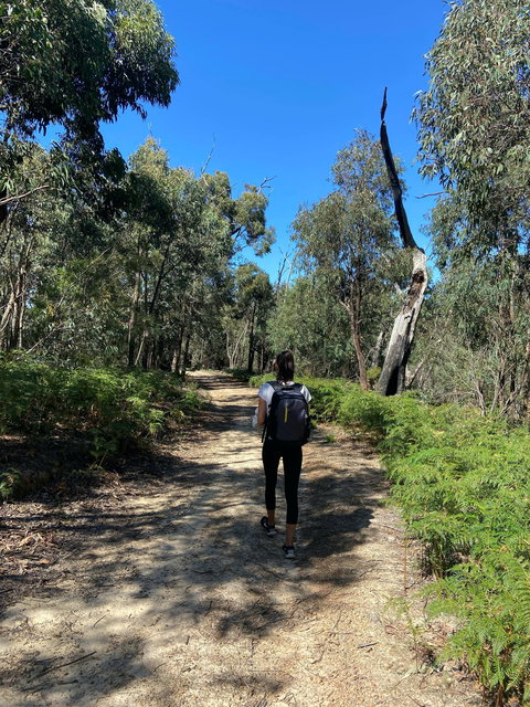 Mt Everard Circuit - New Castle Holiday 0