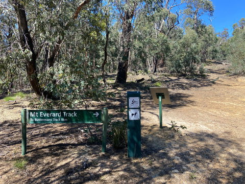 Mt Everard Circuit - New Castle Holiday 1