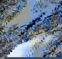 Mummel Gulf National Park - New Castle Holiday