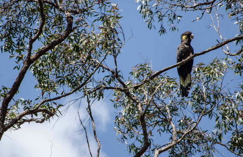 Mummel Gulf National Park - New Castle Holiday 0