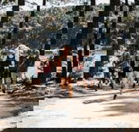 Myponga Reservoir Trail - New Castle Holiday