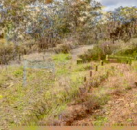 Old Mountain Road Walking Track - New Castle Holiday