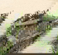 Pebbly Beach to Snake Bay walking track - New Castle Holiday