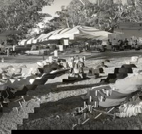 Pioneer Park - New Castle Holiday