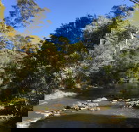 Pipers River Board Walk - New Castle Holiday