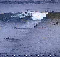 Point Addis Marine National Park - New Castle Holiday