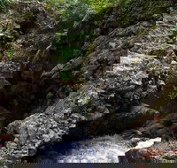 Potoroo Falls walk - New Castle Holiday