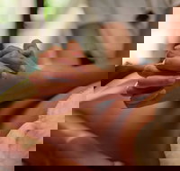 Prani Glow Day Spa - New Castle Holiday