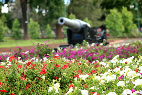 Queens Park, Toowoomba - New Castle Holiday 1