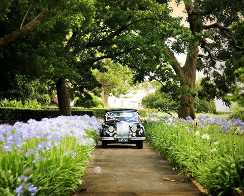 Queens Park, Toowoomba - New Castle Holiday 2