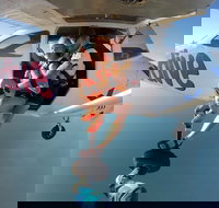 Skydive - New Castle Holiday