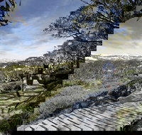 Snow Gums boardwalk - New Castle Holiday