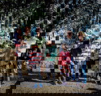 State Forests of the Watagan Mountains - New Castle Holiday