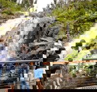 Steavenson Falls - New Castle Holiday