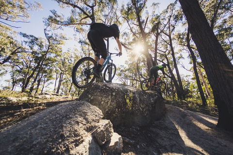 St Helens Mountain Bike Trails - New Castle Holiday 1