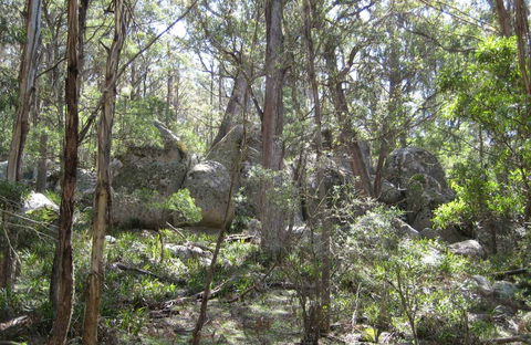 Tallaganda National Park - New Castle Holiday 0