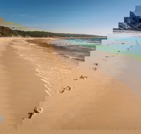 Terrace Beach and Lennards Island - New Castle Holiday