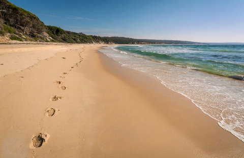Terrace Beach And Lennards Island - New Castle Holiday 0