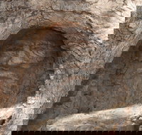 The Face Tree near Burke and Wills Dig Tree - New Castle Holiday