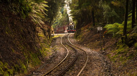 The West Coast Wilderness Way - New Castle Holiday 0