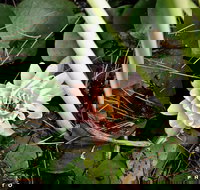 The Beach Bible Garden - New Castle Holiday