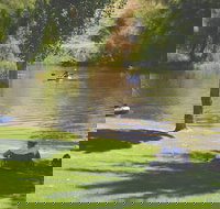 The Lions Junction Park - Tumut - New Castle Holiday