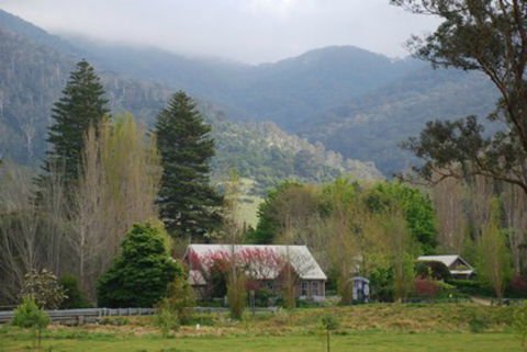 Tilba Tilba - New Castle Holiday 0