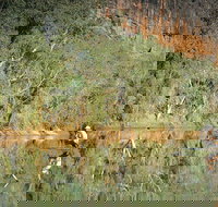 Time Walk Windjana Gorge National Park - New Castle Holiday