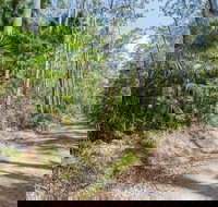 Tip to Tail Trail - New Castle Holiday