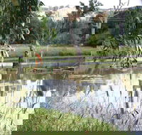 Tumut Wetlands - New Castle Holiday