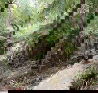 Upper Yarra Reservoir Park - New Castle Holiday