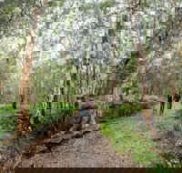 Venman Bushland National Park - New Castle Holiday