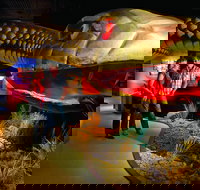 Wadlata Outback Centre - New Castle Holiday